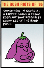 Veggie Lee