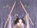 Jay Leno's drumming cat