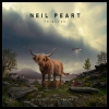 Songs for Neil Volume 4