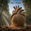 Songs for Neil Volume 7